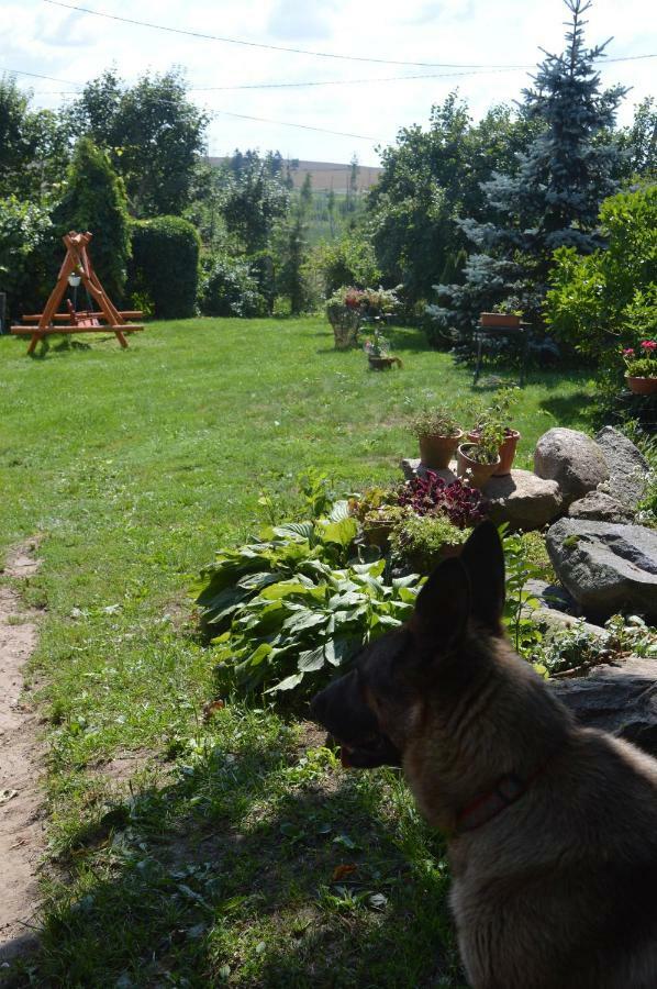 Agroturystyka 'Pod Debem' Giżycko Εξωτερικό φωτογραφία